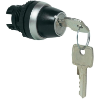 Выключатель с ключом, хромированный, черный, 1x45°, 1 шт Baco L21LD00