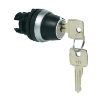 Выключатель с ключом, хромированный, черный, 2x45°, 1 шт Baco L21NK00