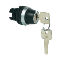 Выключатель с ключом, хромированный, черный, 1x45°, 1 шт Baco L21NA00