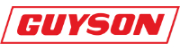 Guyson International