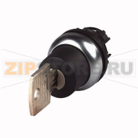 Переключатель с ключом, без фиксации, 2 положения 0, рамка Titan Eaton M22-WS-SA(*)-*
