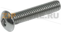 BOMBED HEAD SCREW M4x20 STAINLESS STEEL 