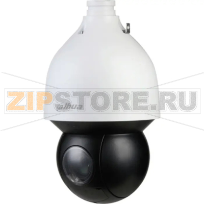 IP-видеокамера, купольная, уличная Dahua DH-SD5A232XB-HNR 