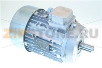 MOTORE SO 3100 400/230/50 60 HZ