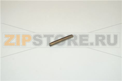Spina elastica 