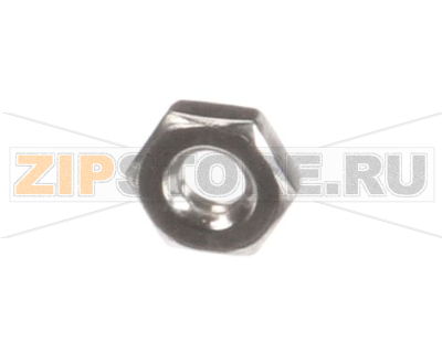 NUT 10-24 HEX SS F 