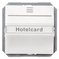 DELTA I-SYSTEM ТИТАНОВО-БЕЛЫЙ ПЕРЕКЛЮЧАТЕЛЬ ДЛЯ ОТЕЛЬНЫХ КАРТ 1CO С ПОДСВЕТКОЙ Siemens 5TG4820