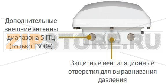 Точка доступа Ruckus 9U1-T300-WW81 
