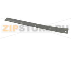 GASKET, REAR PANEL 