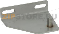 UPPER HINGE LH 