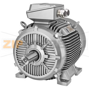 Низковольтный электродвигатель SIMOTICS XP type: 1CV2205B Low-voltage motor, IEC squirrel-cage rotor, self-ventilated, IP65 temperature class 155(F) according to 130(B) Cast iron frame High Efficiency IE2 4-pole * Size 200L, * 30kW (50 Hz) 34.5kW (60 Hz) 
