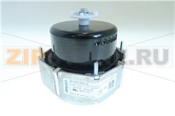 MOTORE 230V 50/60HZ KL ROT.DS. 