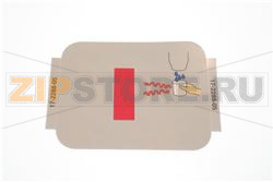 FOTOCELLULA GHIACCIO 