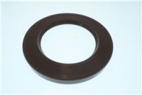 SEAL FPM VIA 65 65 X100 X10