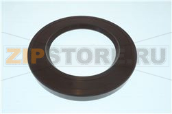 SEAL FPM VIA 65 65 X100 X10 