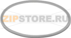 GUARNIZIONE PORTA 00423059 BOSCH 