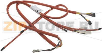 CABLAGGIO SONDE SAE/2 PLUS4 