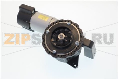 MACININO NERO ASS. INTERCAMB. 