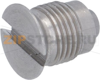 SCREW STAINLESS STEEL FOR SHOWER 