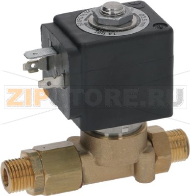 Valve Inlet+ Check 220V 60Hz 