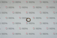 RONDELLA DENT.4 INOX