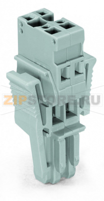 1-проводниковая розетка; Фиксирующий рычаг; 4 mm; 2-пол.; 4,00 mm; серые Wago 769-102/021-000 