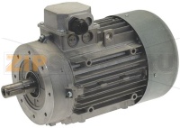 MOTORE SEGAOSSA 230/400V 50/60Hz