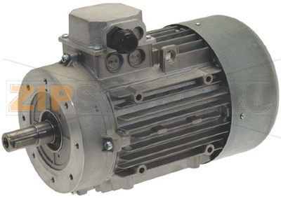 MOTORE SEGAOSSA 230/400V 50/60Hz 