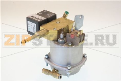 CALDAIA INOX 200CC 230V/50HZ 2 