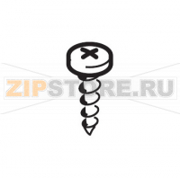 Panelvit TCB 3,0x16 DIN 7505 B ZNP Saeco Royal Digital