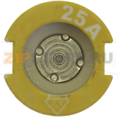 Контактный винт, 25 A, AC 500 В, D2, IEC, с цветовым кодом Eaton GAUGE PIECE D2 25A 500V FOR E27 