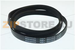 BELT HAIER 0020300592 