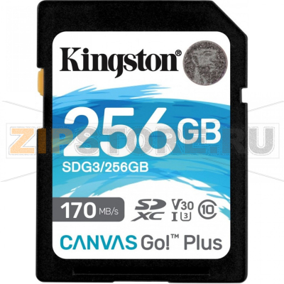 Карта памяти 256 Гб Kingston SDG-256GB 