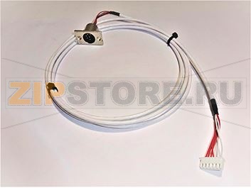 CONNETTORE FEMM. S/CUORE 6 PIN P.SX 