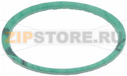 GUARNIZIONE PIANA ESENTE ø 58X50X2 mm 