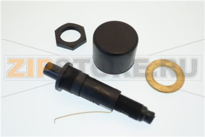 IGNITOR BUTTON WITH CAP 