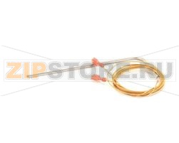 PROBE; RTD CONVECTION OVEN 