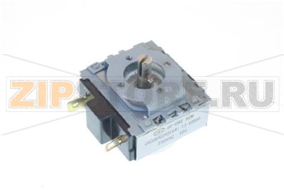 TIMER  60 MINUTES FS370 