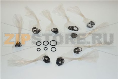 KIT DA 10 O-RING (1 ACQUA) PER RUB. A PE 