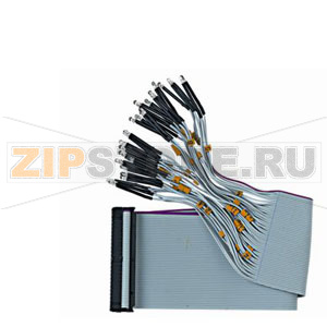 F50F410 - Плоский кабель подключения LED-индикатора, 50-жильный,&lt;BR/&gt;с 24 красными LED-индикаторами Siemens F50F410 