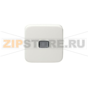 Клавиша для одноклавишных выключателей/перелючателей/кнопок, прозрачная линза, белая ABB 2TKA000811G1 