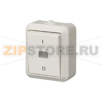 Выключатель одноклавишный, двухполюсный ABB 2TKA000138G1