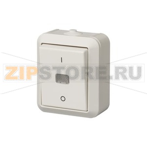 Выключатель одноклавишный, двухполюсный ABB 2TKA000138G1 