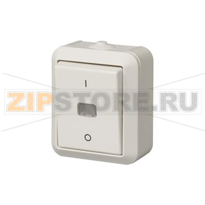 Выключатель одноклавишный, двухполюсный ABB 2TKA000138G1 