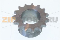 PIGNONE Ø FORO // Z // SUPERIORE