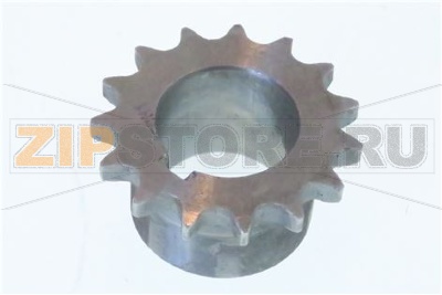 PIGNONE Ø FORO // Z // SUPERIORE 