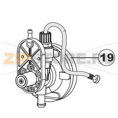 Dispenser, Hydr.Xrinse-Aid(Mand.d6)Dib0805e4007 Apach AC800                     Dispenser, Hydr.Xrinse-Aid(Mand.d6)Dib0805e4007 Apach AC800Запчасть на сборочном чертеже под номером:19Название запчасти Apach на итальянском языке: Dispenser, Hydr.Xrinse-Aid(Mand.d6)Dib0805e4007 Apach AC800