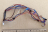 Sensor harness Wincor Nixdorf ProCash