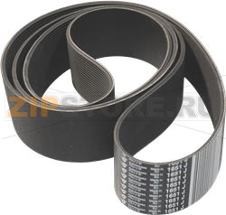 BELT POLY V 1651 J65 20N 