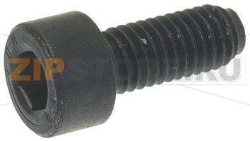 VITE A TESTA CILINDRICA 